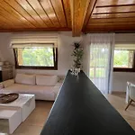 Villa Verde * Paliouri