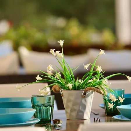 Villa Verde Paliouri